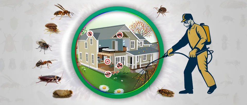 pest control services in duabi